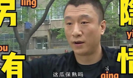 近期吃瓜爆料新闻视频播放,视频播放量飙升背后的真相